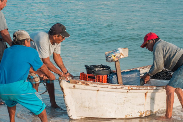 Zonas de Refugio Pesqueros podrían impulsar la repoblación de especies en Yucatán