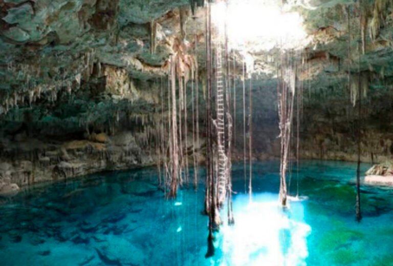 Profepa clausura obra del parque temático Xibalbá de Grupo Xcaret