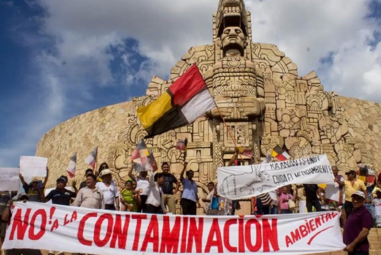 Exigen al gobierno de Yucatán dejar de favorecer a PAPO para reabrir megagranja