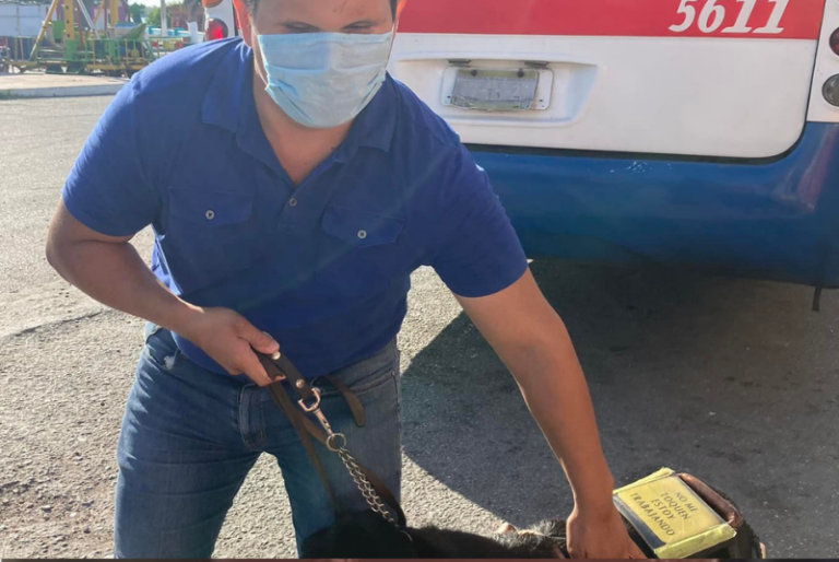 ADO de Sabancuy, Campeche impide a hombre con discapacidad visual subir con su lazarillo