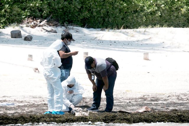 Reportan recale de osamenta en Playa Azul, Cancún