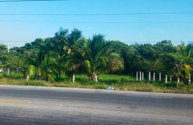 Llaman a la población a evitar ser estafados con supuestas ventas de predios en Carmen