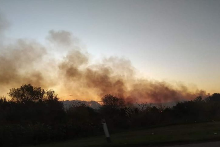 Fuerte incendio en la zona de manglares y montes entre Chicxulub Puerto y Progreso