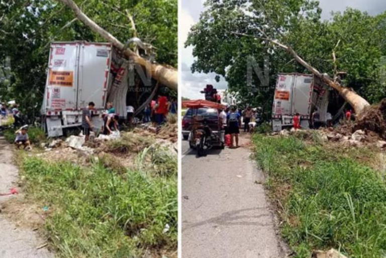 Rapiña de cajas de leche, tras accidente de camión de carga