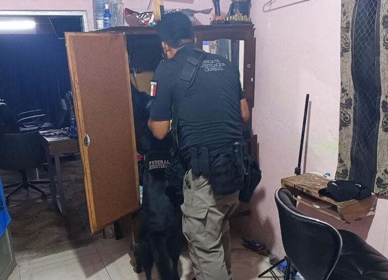 Narco estética en Progreso