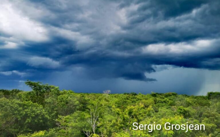 Así fue el paisaje hoy desde el mirador del eco parque & cenote Homúnja