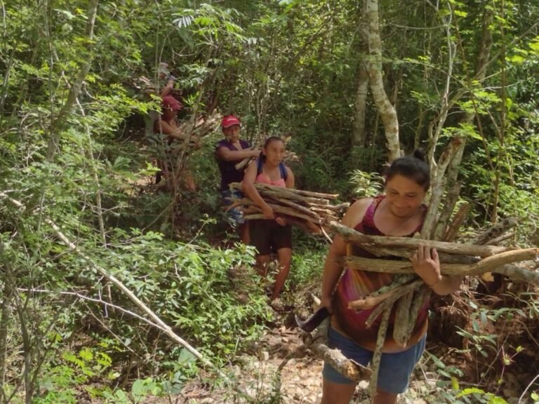 Mujeres, con hacha en mano, cortan leña para sobrevivir