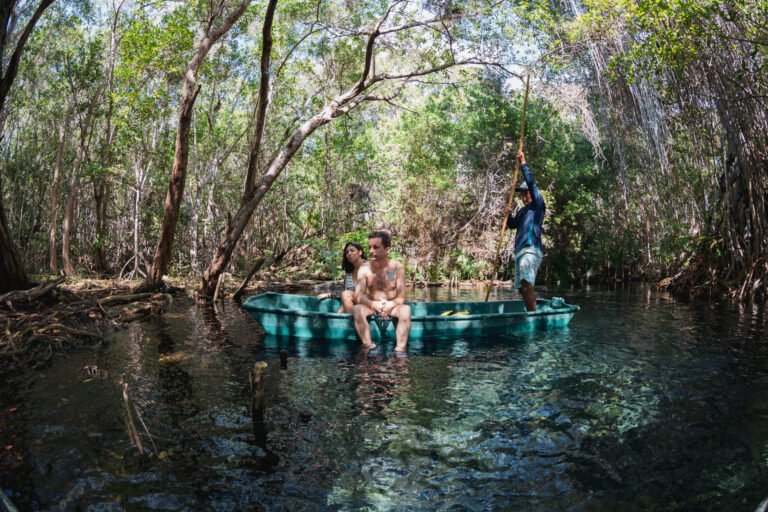 Descubre la belleza natural del Puerto de Sisal