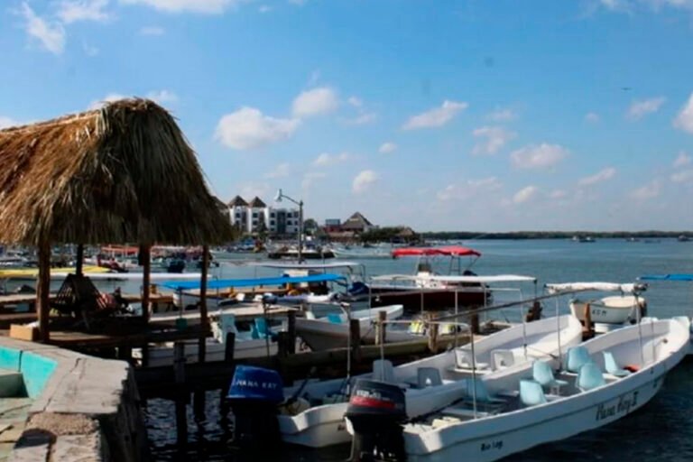 Presencia de marea roja en aguas yucatecas no representa un riesgo para la salud