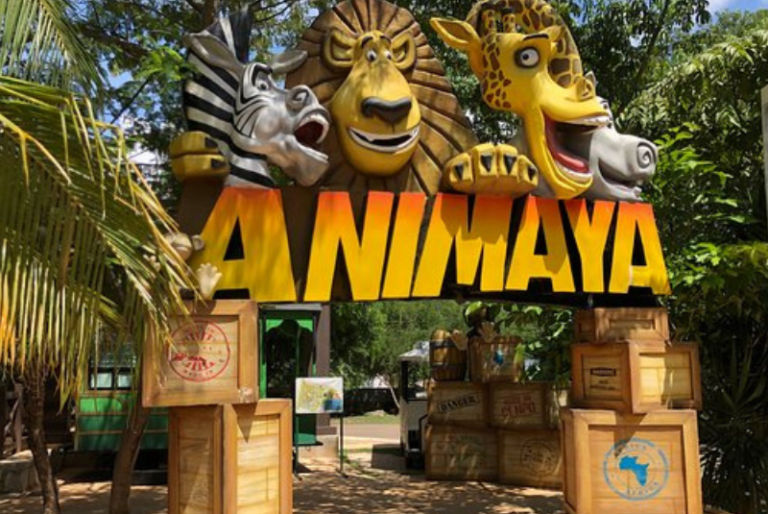 “Circuito aventuras”, el transporte gratuito que enlazará los zoológicos de Mérida