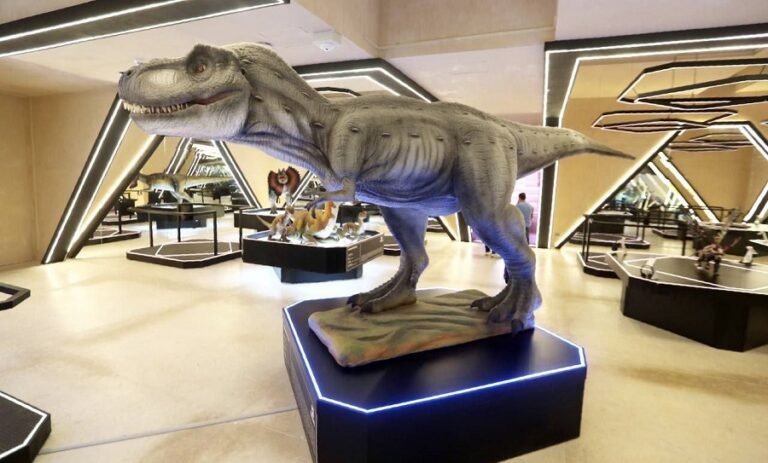 Mañana abre el Museo del Meteorito en Progreso: los yucatecos pagarán 150 pesos