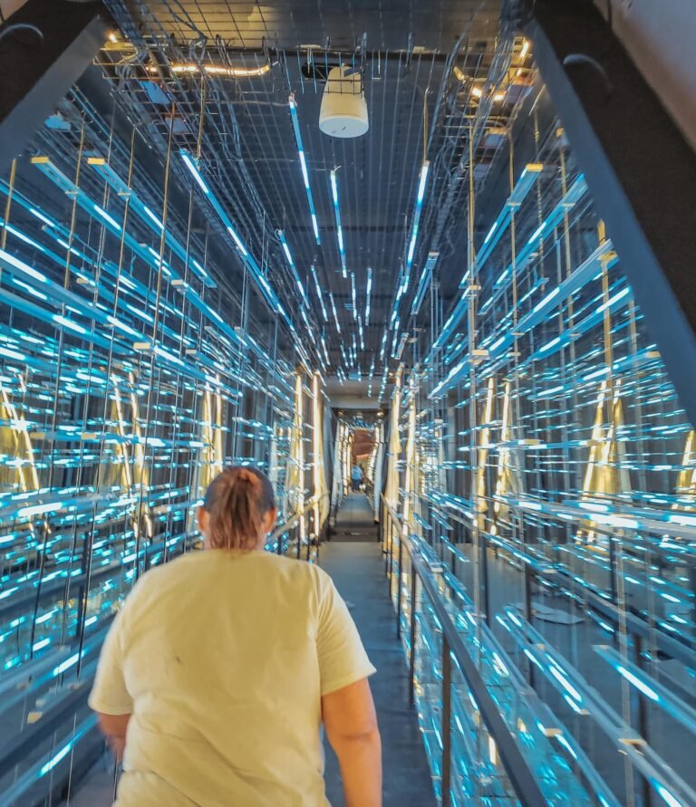 Así luce el museo de dinosaurios en Progreso