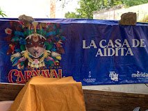 “La Casa de Aidita”: Un refugio en Mérida que busca familias para sus perritos y gatitos
