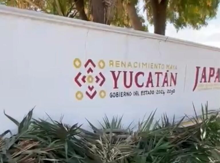 Fugas por doquier y banquetas bloqueadas: la negligencia que exhibe a la Japay