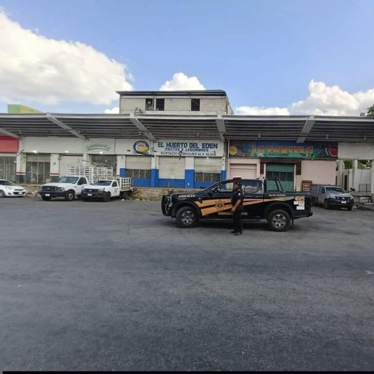 Roban 76 mil pesos de negocio en Yucalpetén; ladrón fingió ser cliente y huyó sin ser detenido