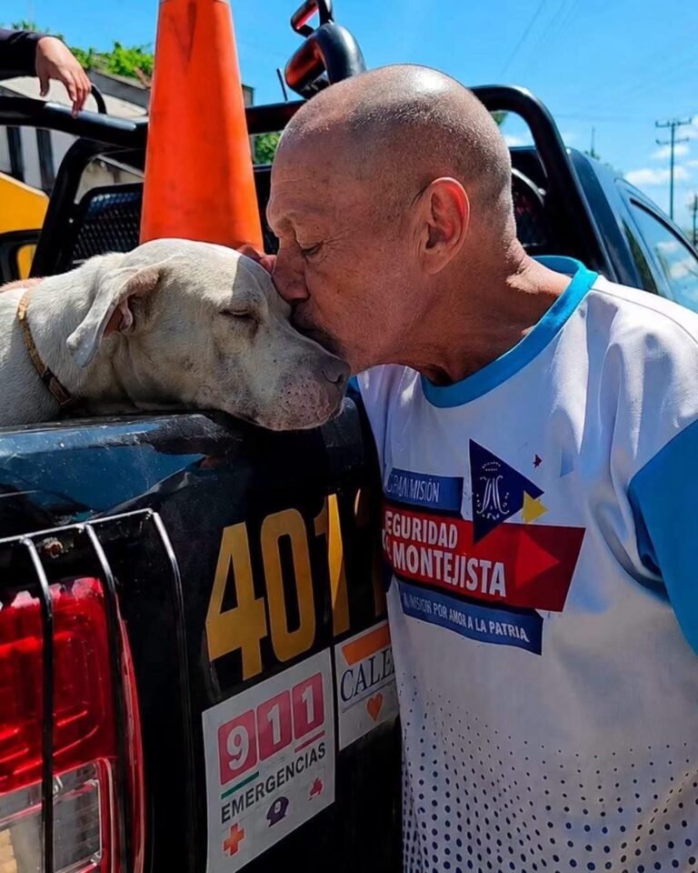 Entre lágrimas, dueño se despide de su perro tras ataque a una mujer en la Bojórquez